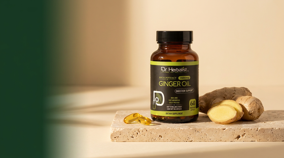 Dr. Herbalist Ginger Oil softgel capsules bottle with fresh ginger root on stone surface