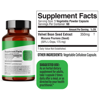 Mucuna Pruriens Extract 350mg, Kapikacchu, Velvet Bean | Supports Everyday Energy & Well-Being | Halal, 60 Capsules