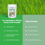 Wheat Grass Powder 200g — Single-Ingredient Triticum Aestivum | Natural Chlorophyll | Halal, No Fillers view 7