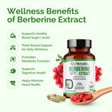 Berberine Extract 500mg — Plant Alkaloid (Berberis) | Treasured in Traditional Wellness | Halal, 60 Capsules view 3