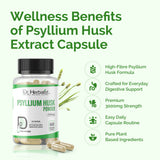 Psyllium Husk Extract Capsules 500mg, Plantago Ovata Fiber | Supports Digestive Regularity | Halal, 60 Veg Caps view 6