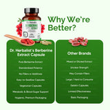 Berberine Extract 500mg — Plant Alkaloid (Berberis) | Treasured in Traditional Wellness | Halal, 60 Capsules view 7