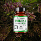 Mucuna Pruriens Extract 350mg, Kapikacchu, Velvet Bean | Supports Everyday Energy & Well-Being | Halal, 60 Capsules view 7
