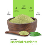 Kalmegh Powder 200g, Single-Ingredient Andrographis Paniculata (King of Bitters) | Supports Digestive Wellness | Halal, No Fillers view 7