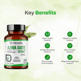 Ajwa Date Extract 350mg — Phoenix Dactylifera Capsules | Treasured in Traditional Wellness | Halal, Capsules view 7