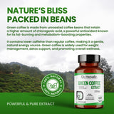 Green Coffee Bean Extract 450mg — Coffea Arabica, Unroasted | Naturally Rich in Chlorogenic Acid | Halal, 60 Capsules view 6