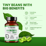 Green Coffee Bean Extract 450mg — Coffea Arabica, Unroasted | Naturally Rich in Chlorogenic Acid | Halal, 60 Capsules view 4